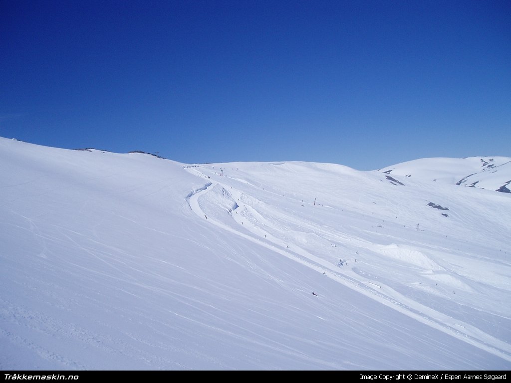 TRYKK FOR � LUKKE VINDUET