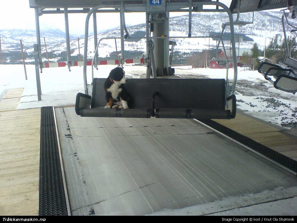 TRYKK FOR � G� TILBAKE TIL INFOVISNING