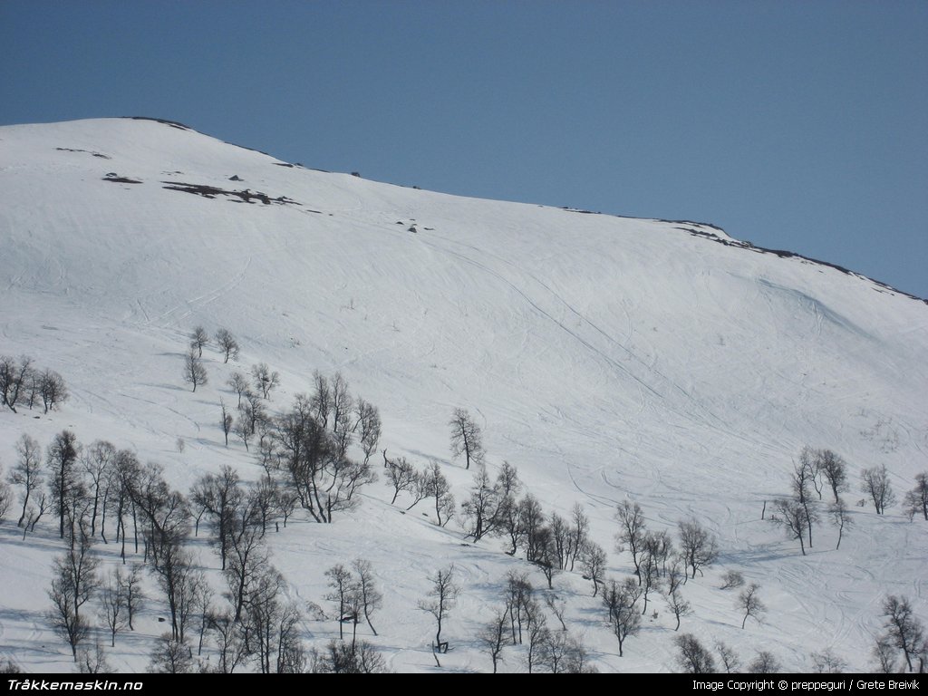 TRYKK FOR � LUKKE VINDUET