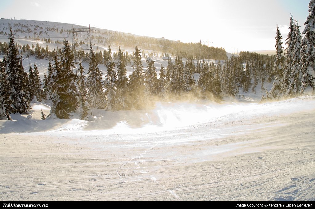 TRYKK FOR � LUKKE VINDUET