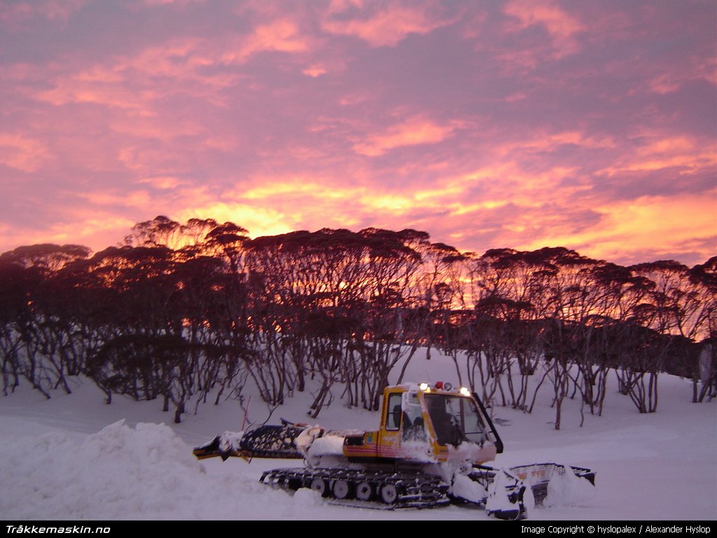 TRYKK FOR � LUKKE VINDUET