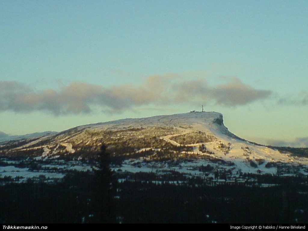 TRYKK FOR � LUKKE VINDUET