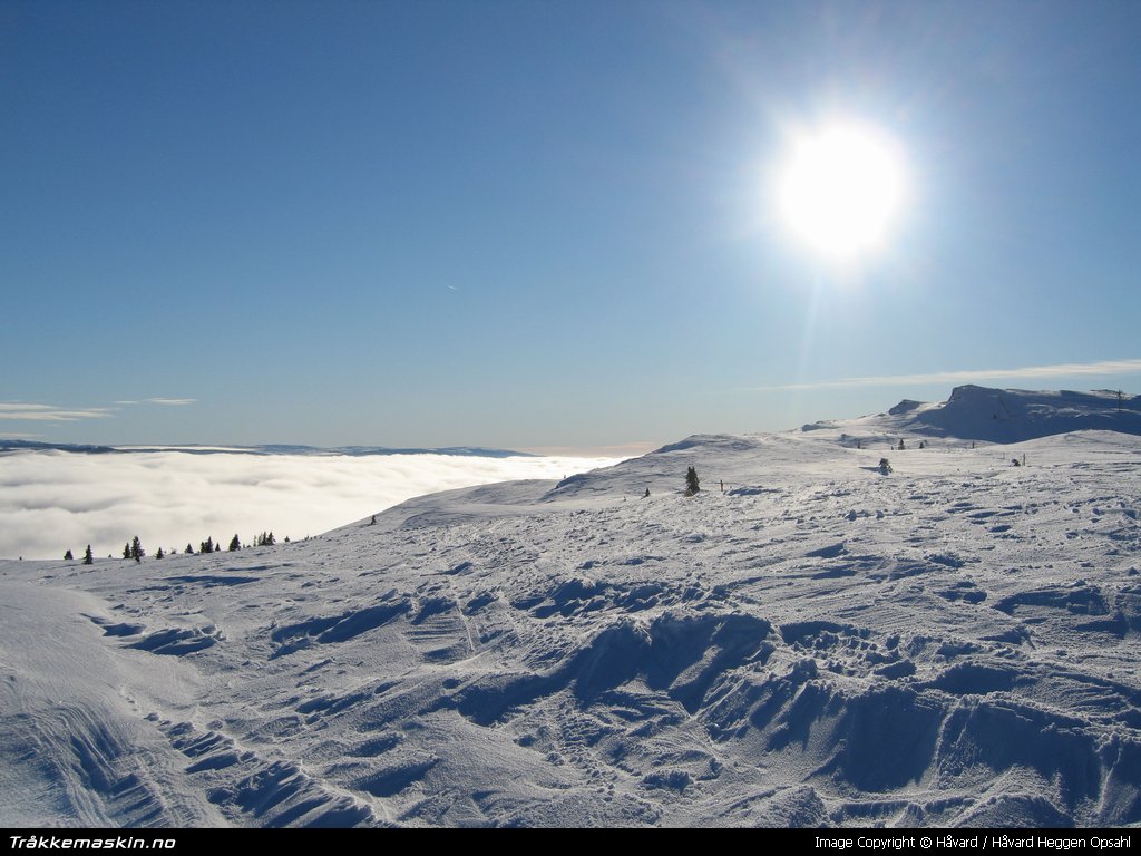 TRYKK FOR � G� TILBAKE TIL INFOVISNING