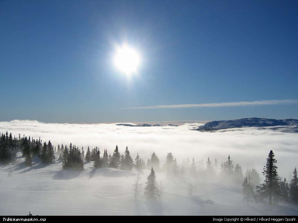 TRYKK FOR � G� TILBAKE TIL INFOVISNING