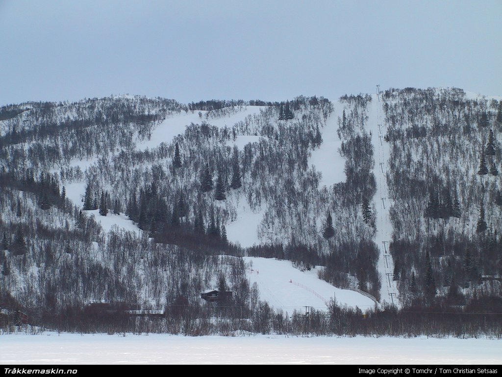 TRYKK FOR  LUKKE VINDUET