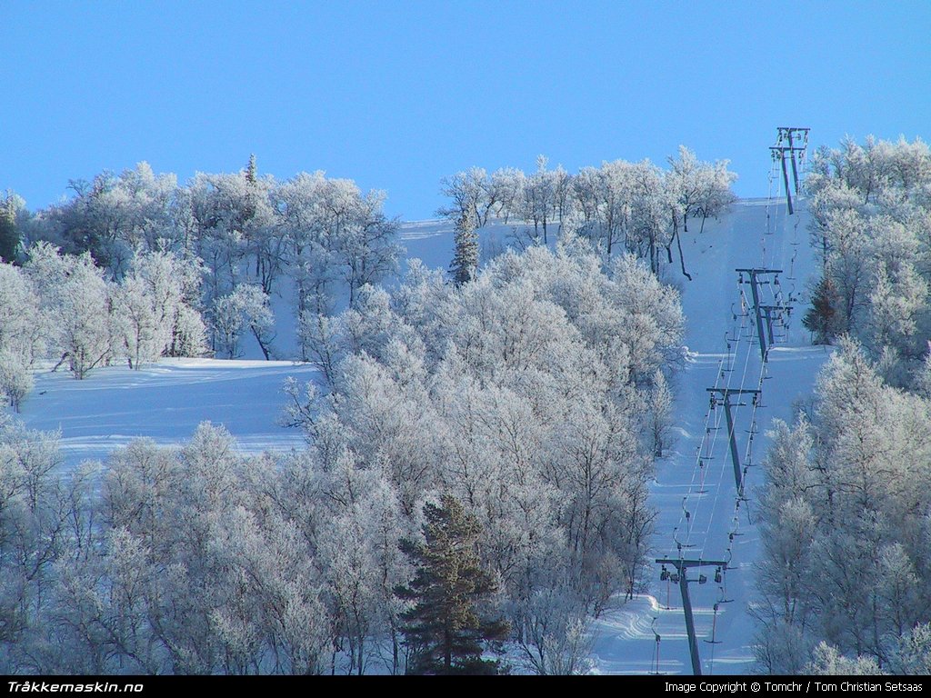 TRYKK FOR  LUKKE VINDUET