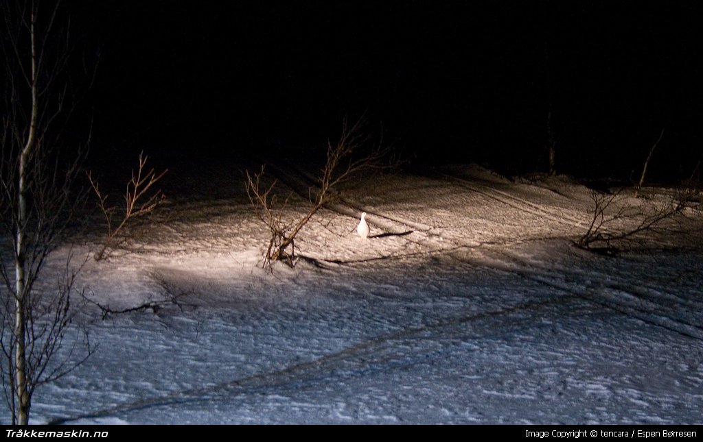 TRYKK FOR  LUKKE VINDUET