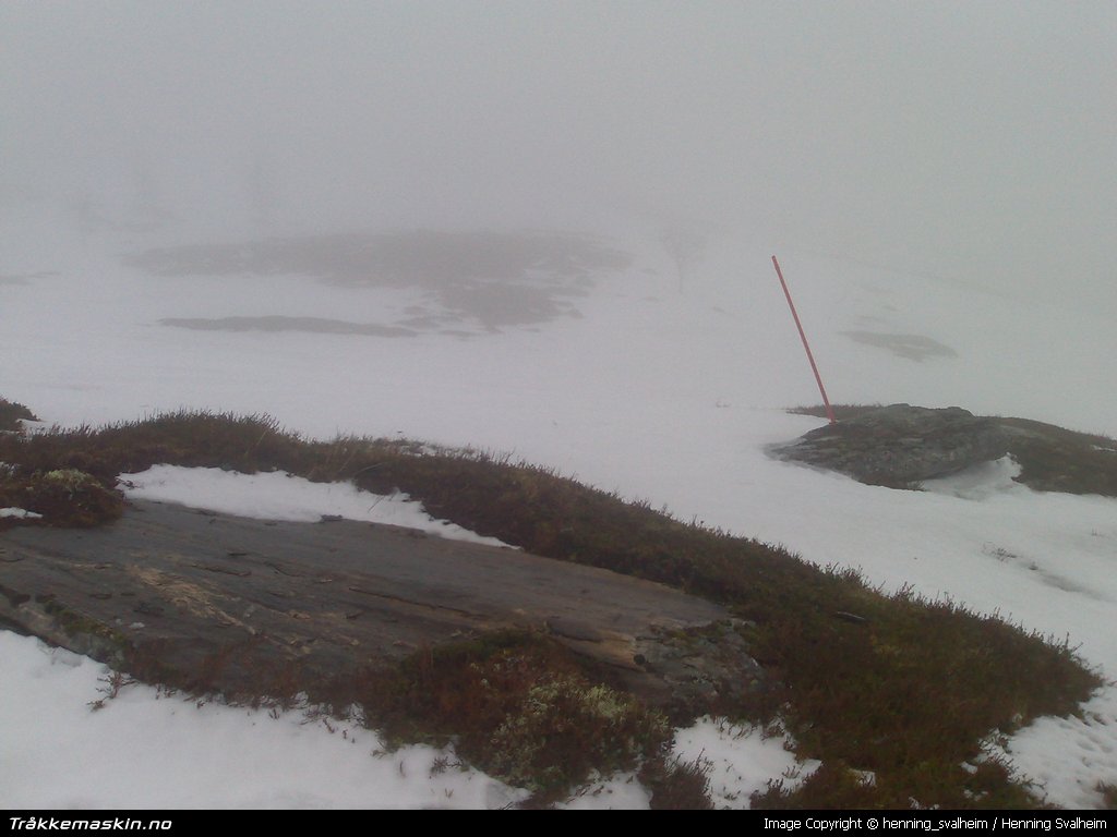 TRYKK FOR  G TILBAKE TIL INFOVISNING