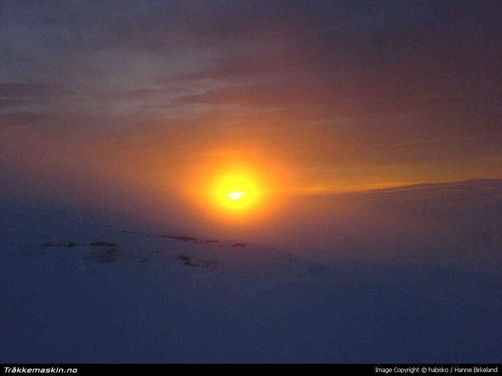 TRYKK FOR  G TILBAKE TIL INFOVISNING