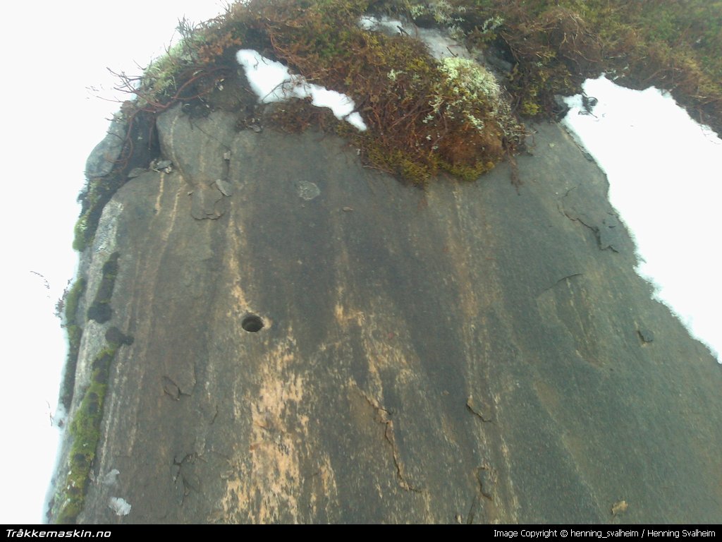 TRYKK FOR  G TILBAKE TIL INFOVISNING