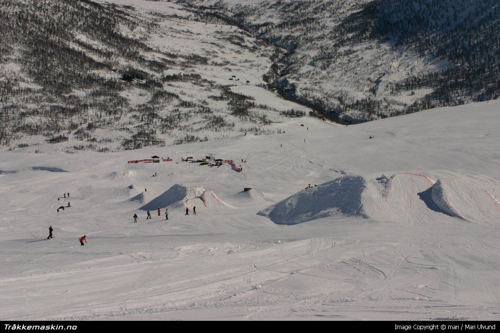 TRYKK FOR  G TILBAKE TIL INFOVISNING