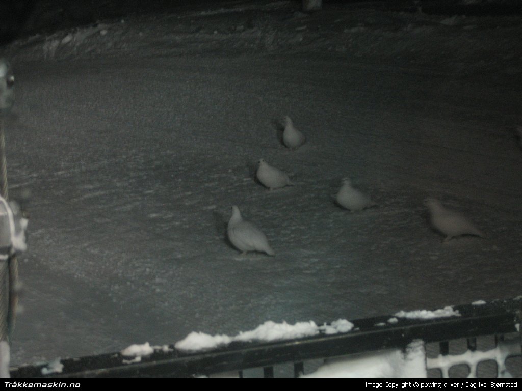 TRYKK FOR  LUKKE VINDUET