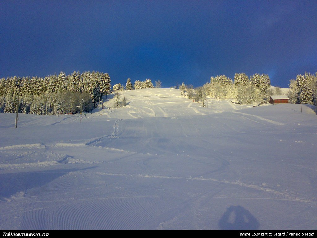 TRYKK FOR  G TILBAKE TIL INFOVISNING