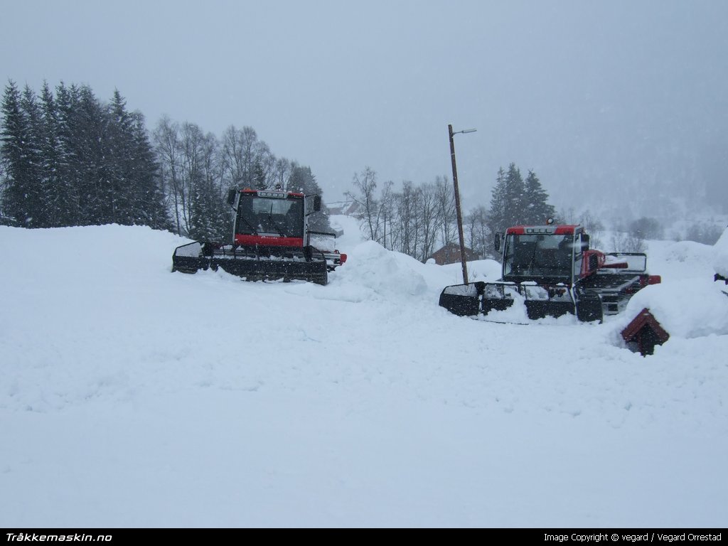 TRYKK FOR  LUKKE VINDUET