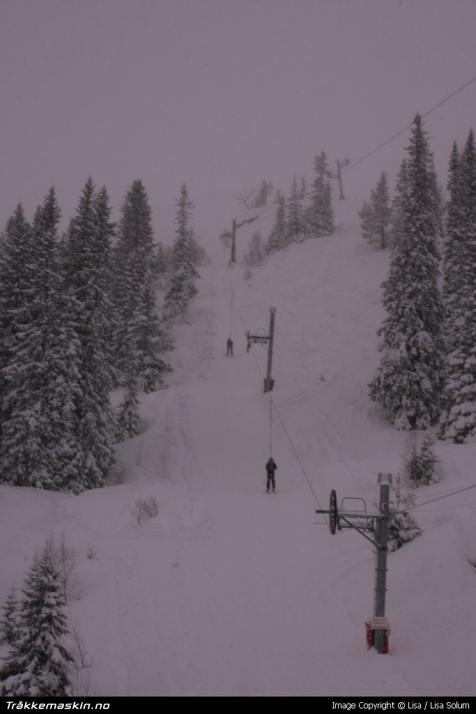 TRYKK FOR  LUKKE VINDUET