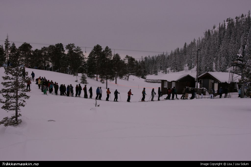 TRYKK FOR  LUKKE VINDUET