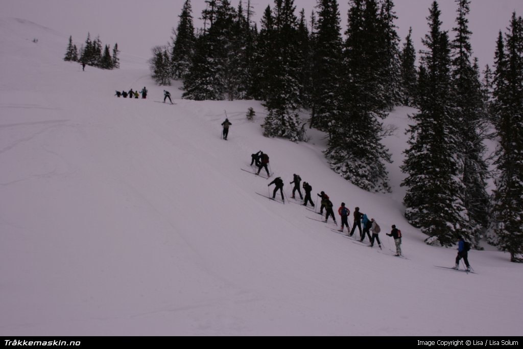 TRYKK FOR  LUKKE VINDUET