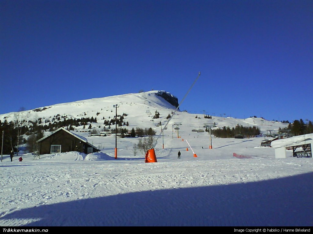 TRYKK FOR  G TILBAKE TIL INFOVISNING