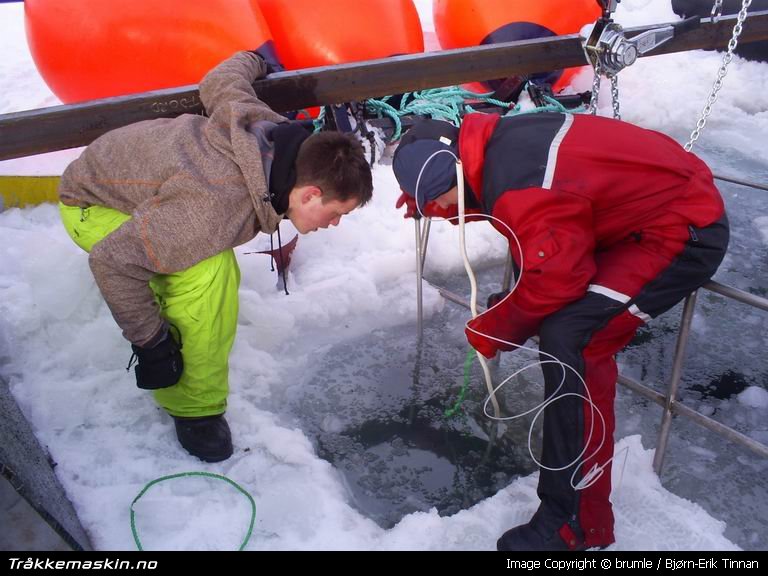 TRYKK FOR  LUKKE VINDUET