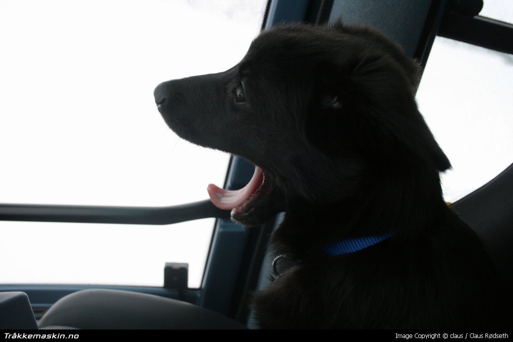 TRYKK FOR  LUKKE VINDUET