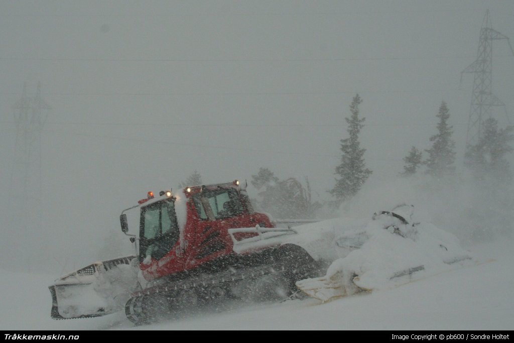 TRYKK FOR  LUKKE VINDUET