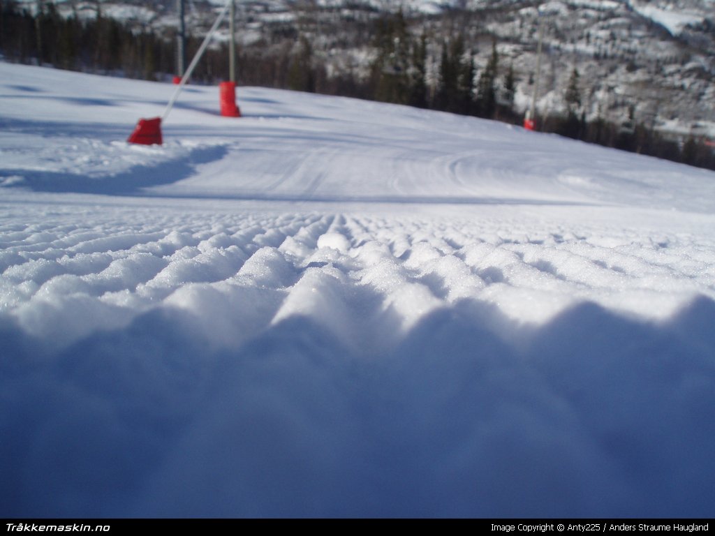 TRYKK FOR  LUKKE VINDUET