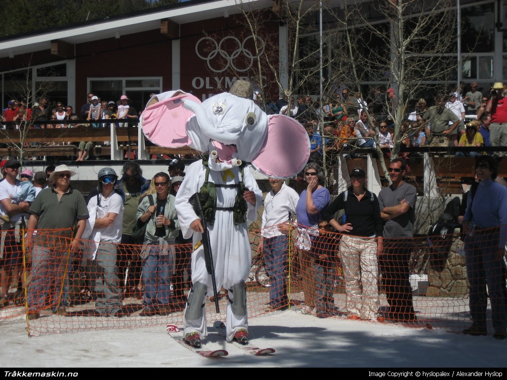 TRYKK FOR  G TILBAKE TIL INFOVISNING