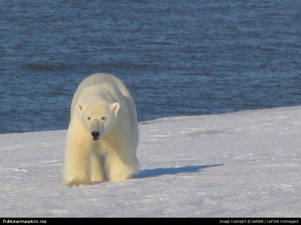 TRYKK FOR  LUKKE VINDUET