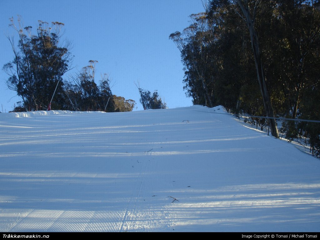 TRYKK FOR  LUKKE VINDUET