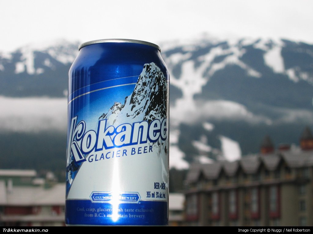 TRYKK FOR  LUKKE VINDUET