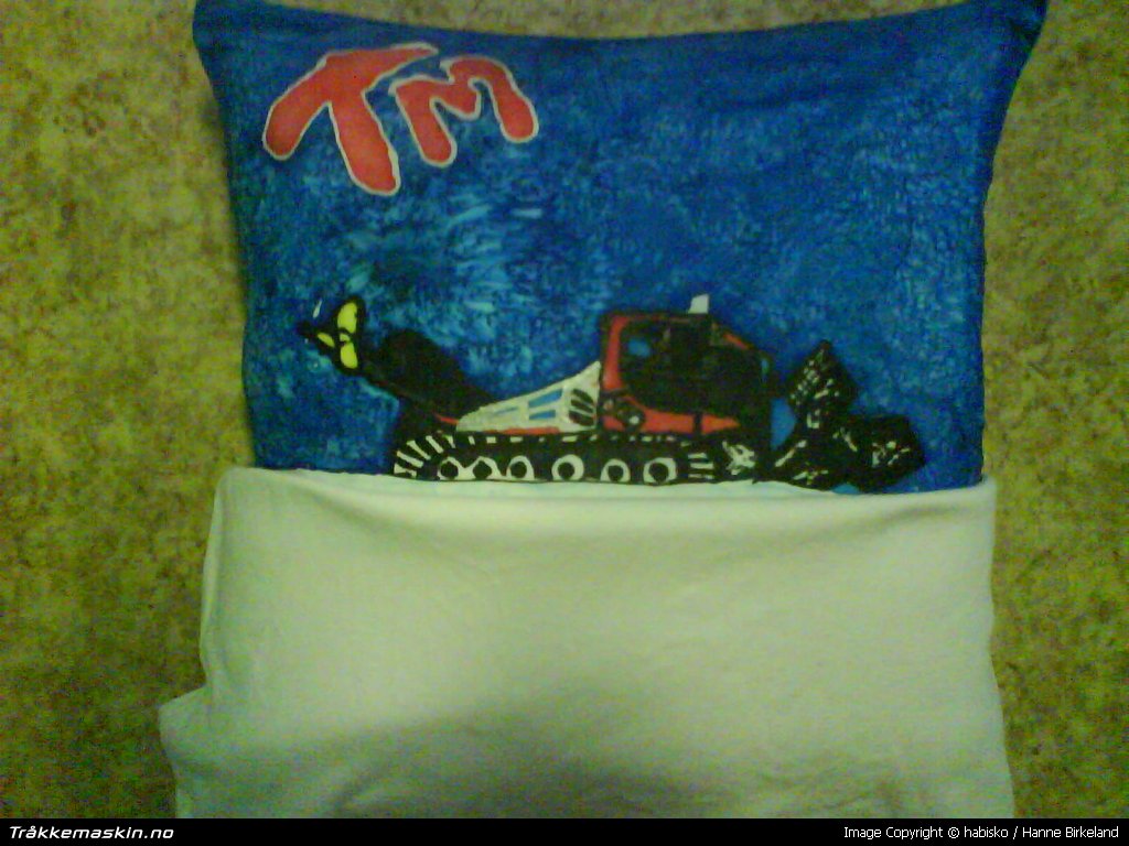 TRYKK FOR  LUKKE VINDUET