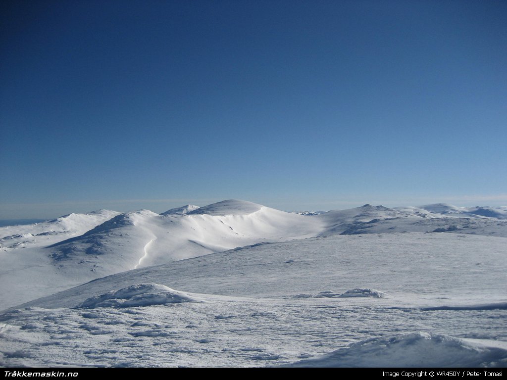 TRYKK FOR  LUKKE VINDUET