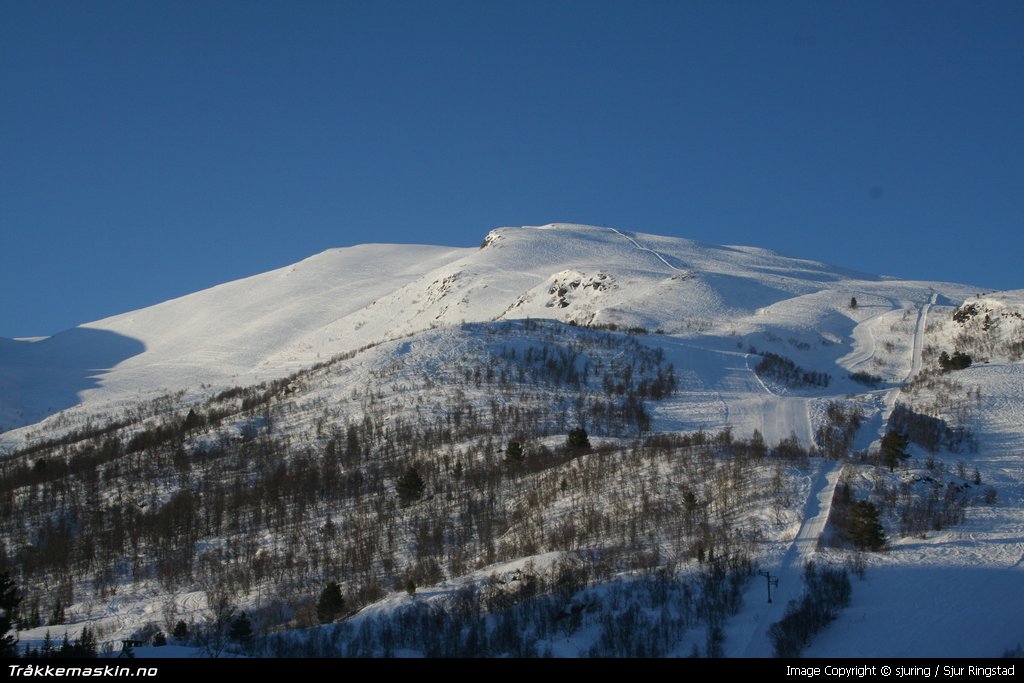 TRYKK FOR  LUKKE VINDUET