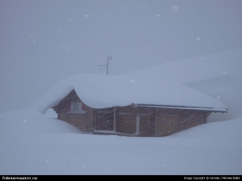 TRYKK FOR  LUKKE VINDUET