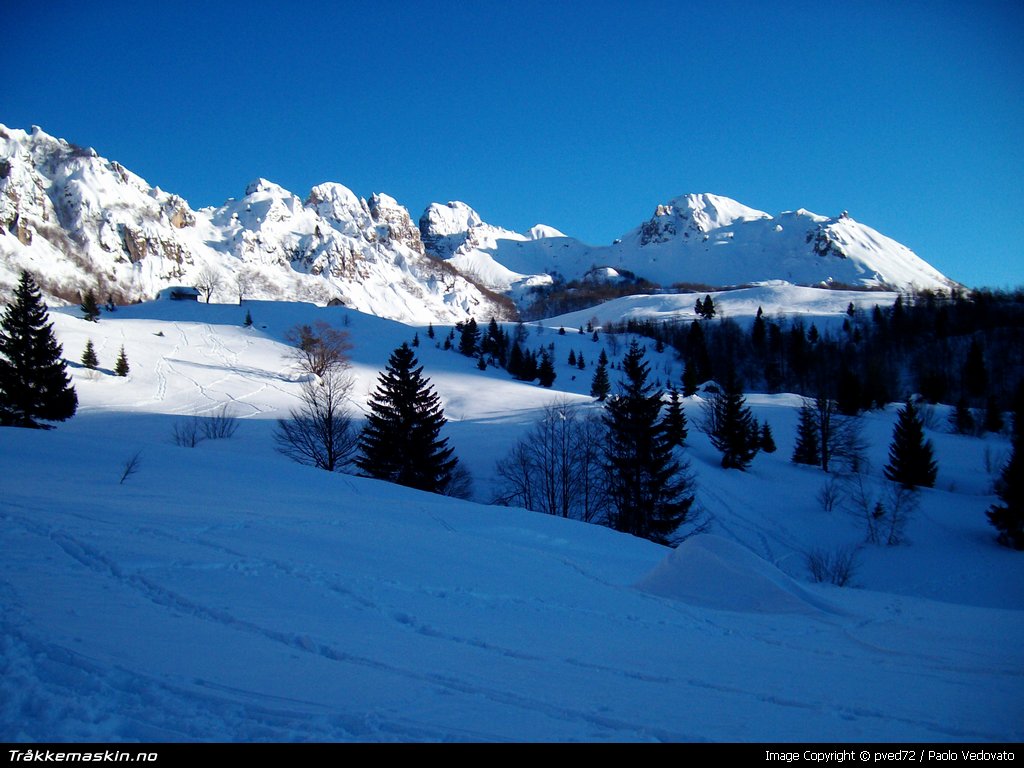 TRYKK FOR  G TILBAKE TIL INFOVISNING