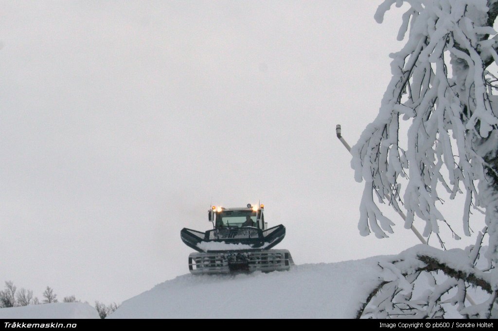 TRYKK FOR  LUKKE VINDUET