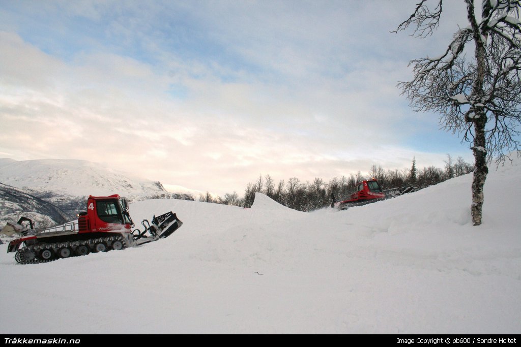 TRYKK FOR  LUKKE VINDUET