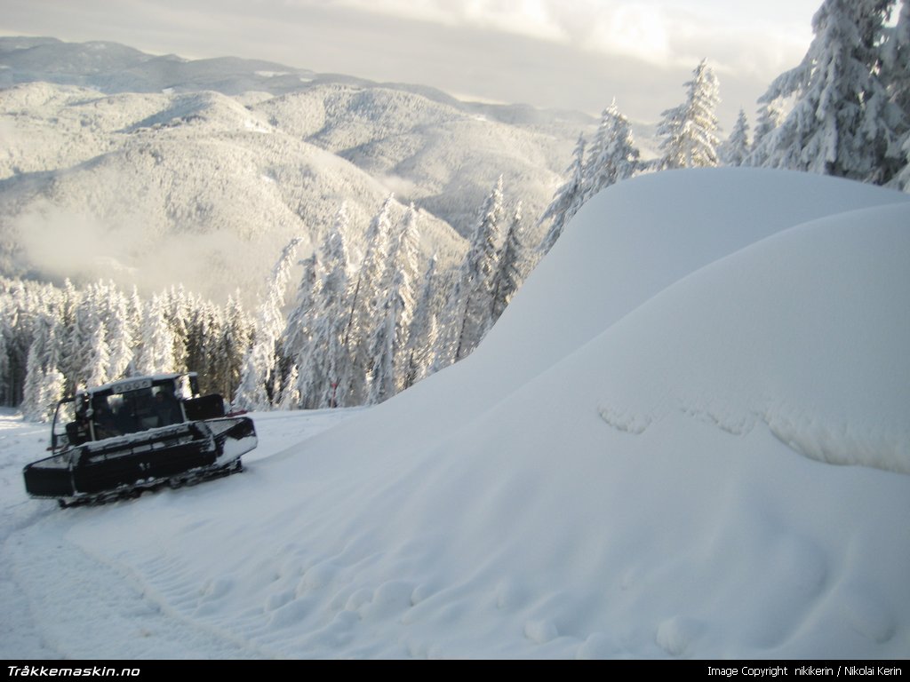 TRYKK FOR � LUKKE VINDUET