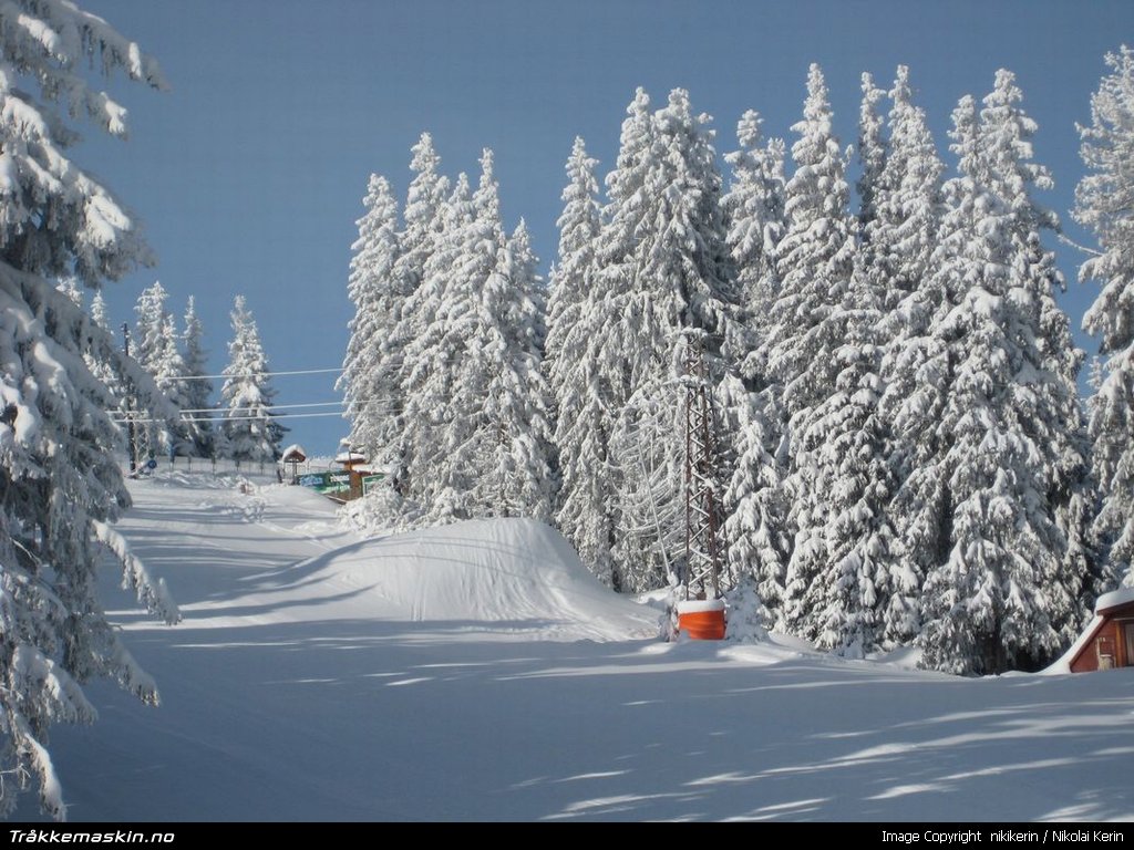 TRYKK FOR � LUKKE VINDUET