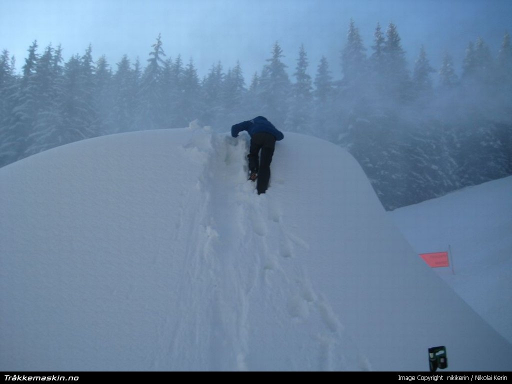 TRYKK FOR � LUKKE VINDUET