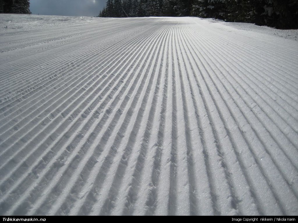 TRYKK FOR � LUKKE VINDUET