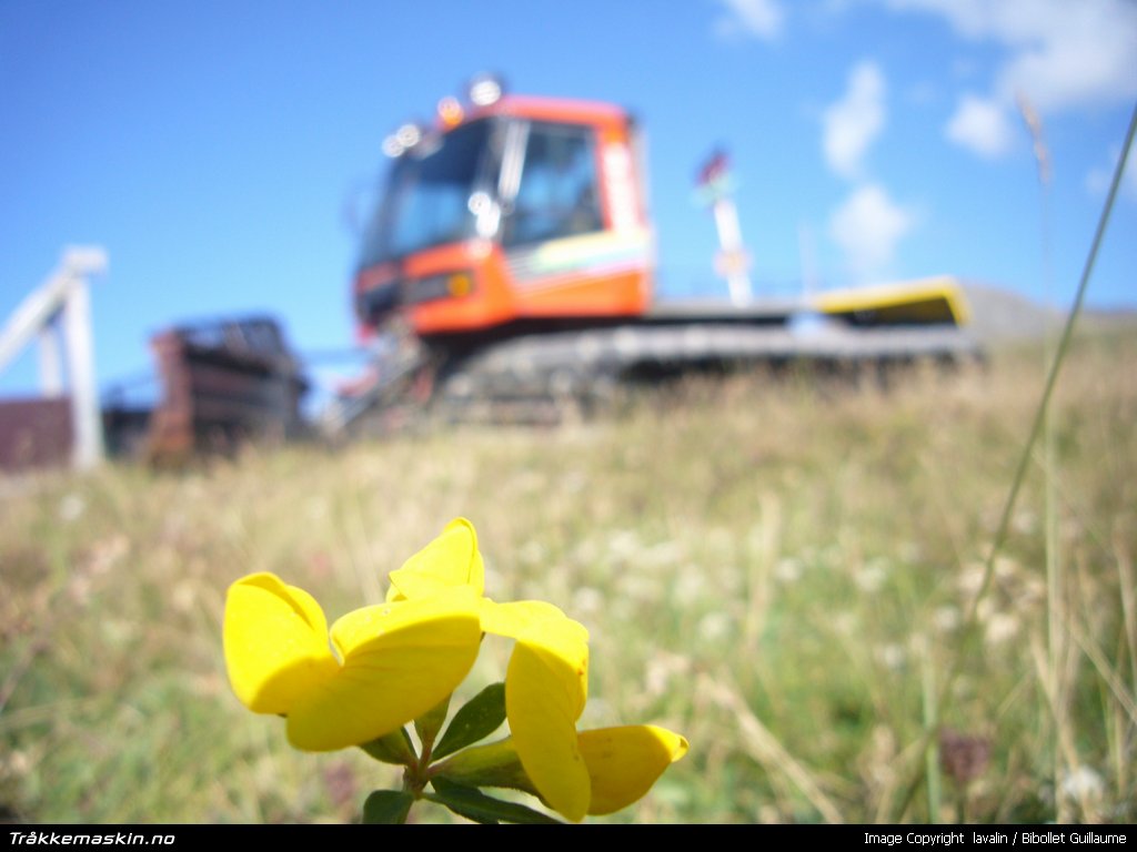 TRYKK FOR � LUKKE VINDUET