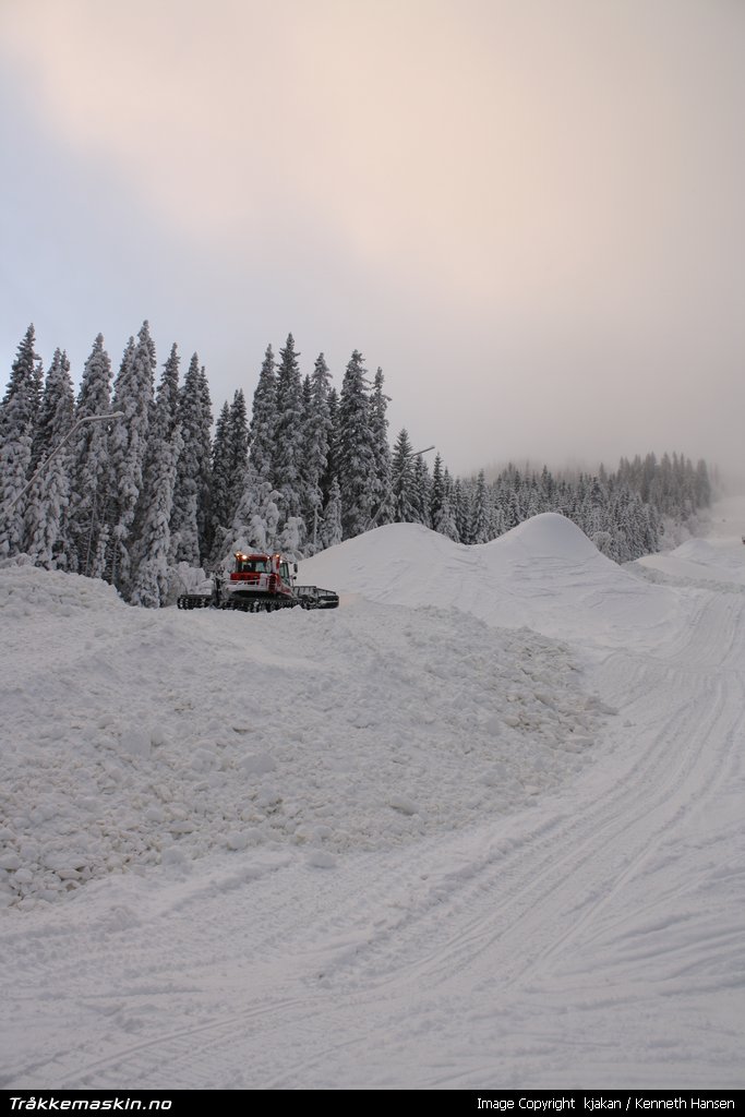 TRYKK FOR � LUKKE VINDUET