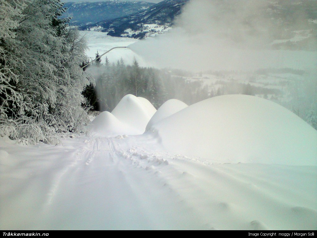 TRYKK FOR � LUKKE VINDUET