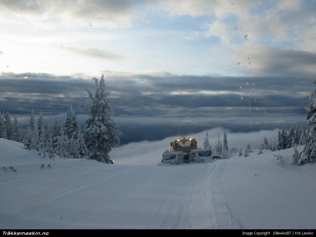 TRYKK FOR � LUKKE VINDUET