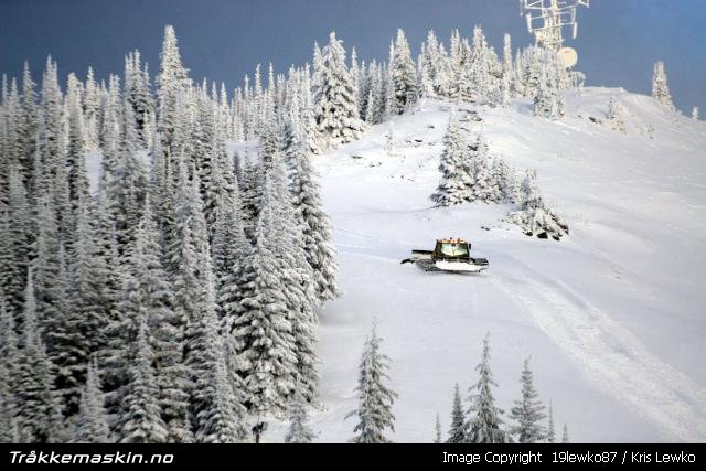 TRYKK FOR � LUKKE VINDUET