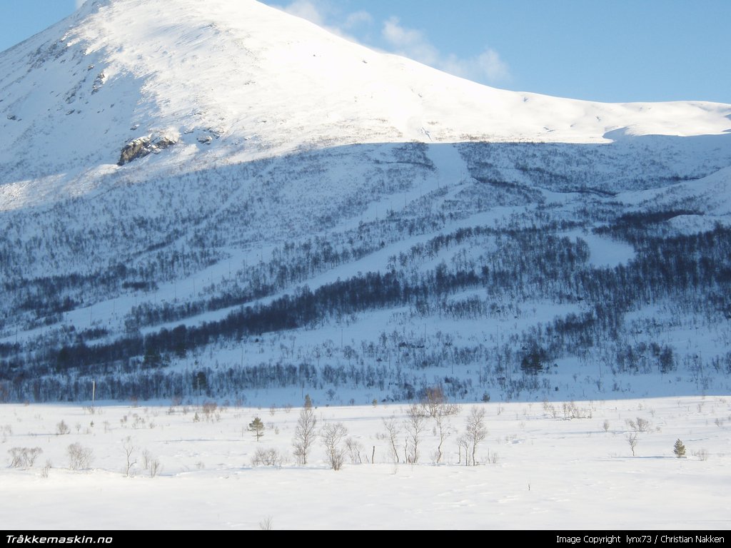 TRYKK FOR � LUKKE VINDUET