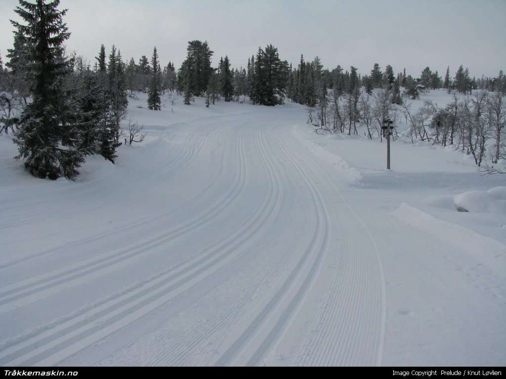 TRYKK FOR � LUKKE VINDUET