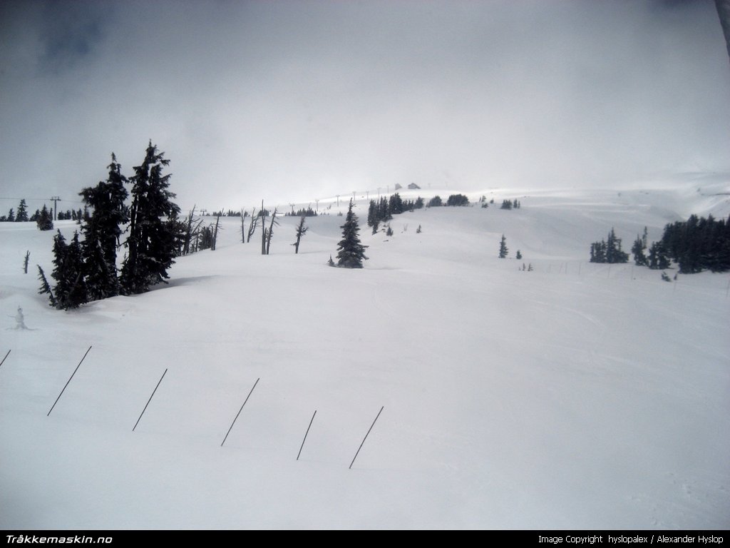 TRYKK FOR � LUKKE VINDUET