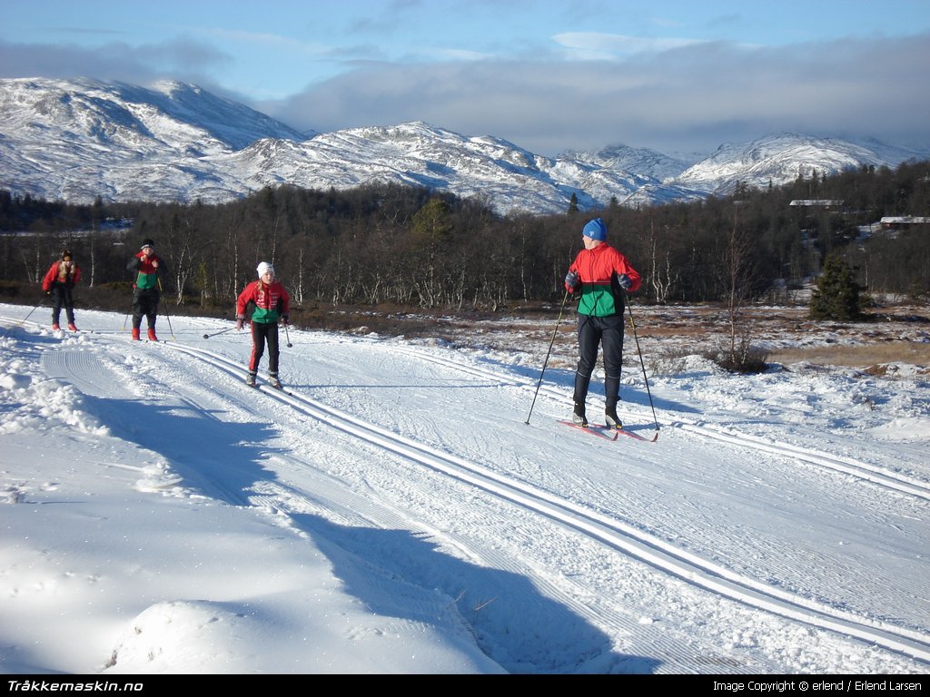 TRYKK FOR  LUKKE VINDUET
